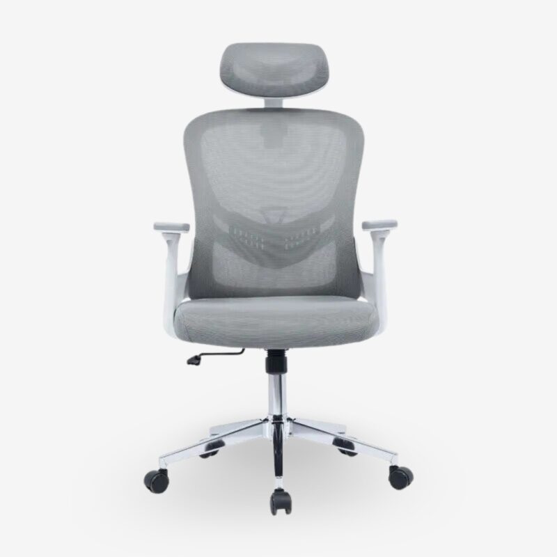 Office Chair Ignatius (5)