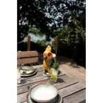 Kare Carafe Funny Pet Exotic Bird 32cm (3)