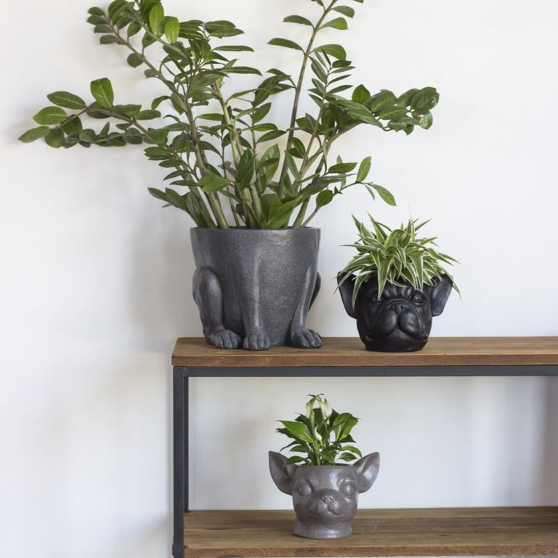 Deco Planter Bulldog Black (3)