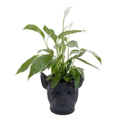 Deco Planter Bulldog Black (4)