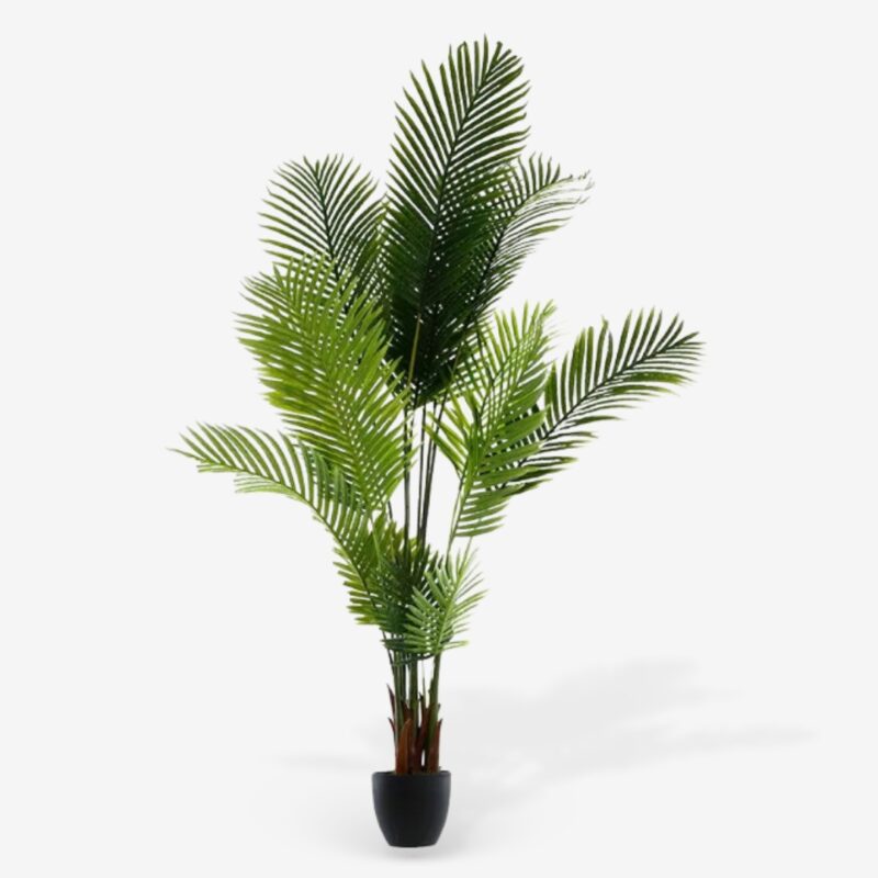 Decorative Palm 180cm