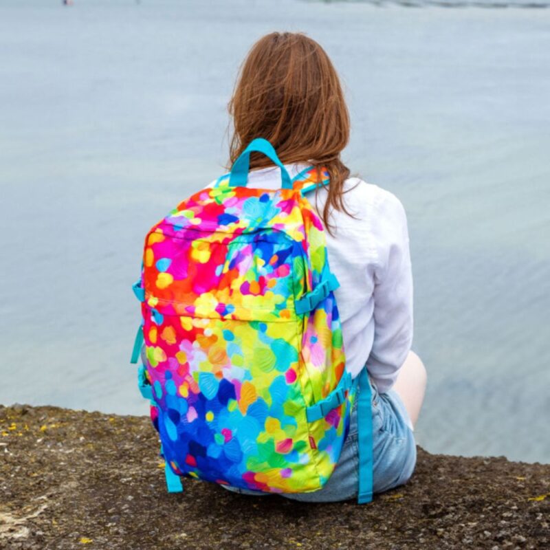 Hand Luggage Backpack (13)
