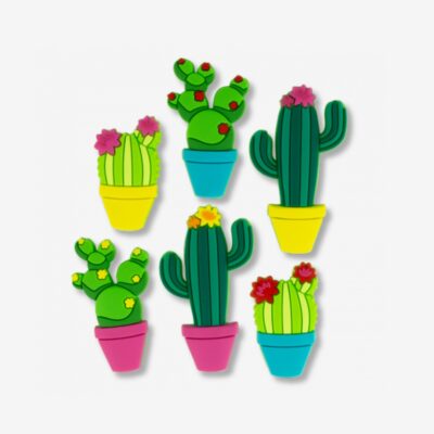 Magnets 6set Cactus