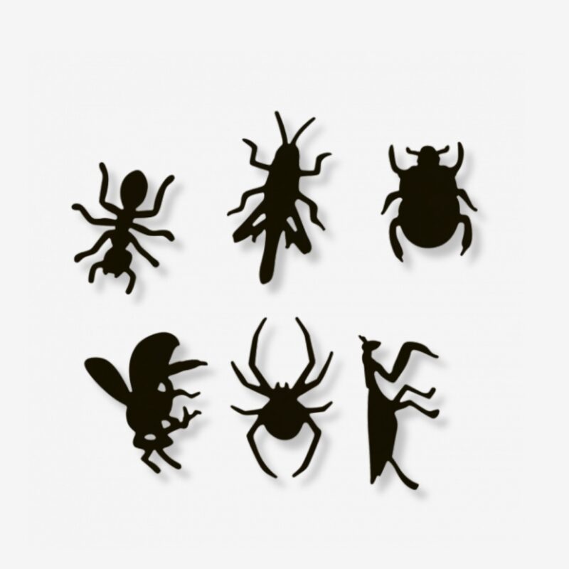 Magnets 6set Insects (1)