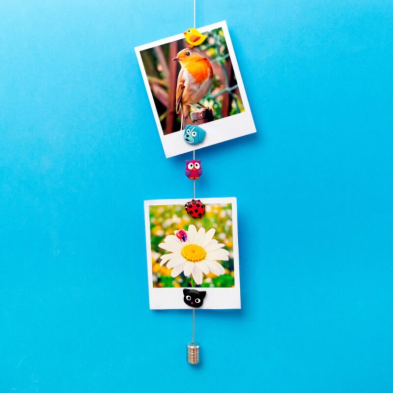 Photo Magnetic Cable Holder Animals (2)