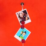 Photo Magnetic Cable Holder Ladybug (3)