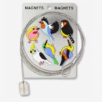 Photo Magnetic Cable+6magnets Bird