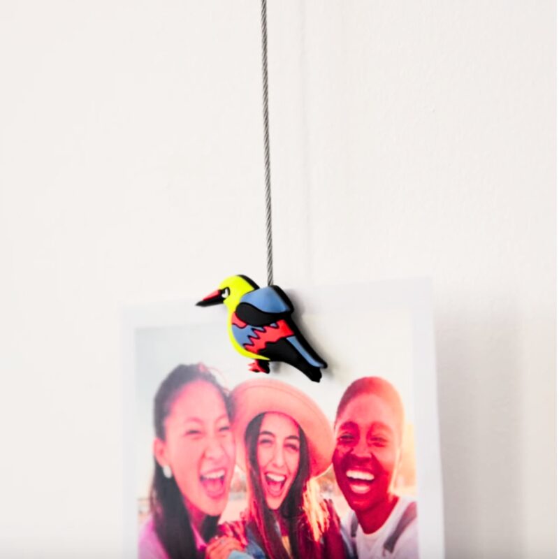 Photo Magnetic Cable+6magnets Bird (4)