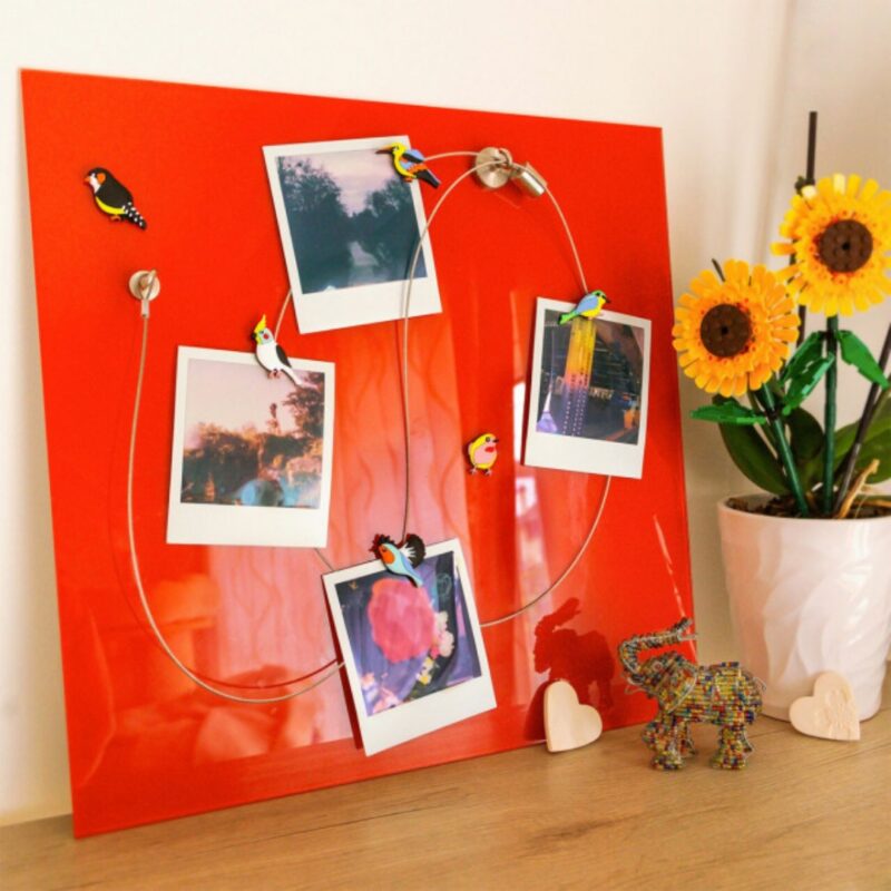 Photo Magnetic Cable+6magnets Bird (5)