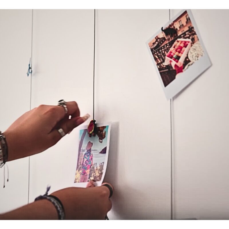 Photo Magnetic Cable+6magnets Bird (6)