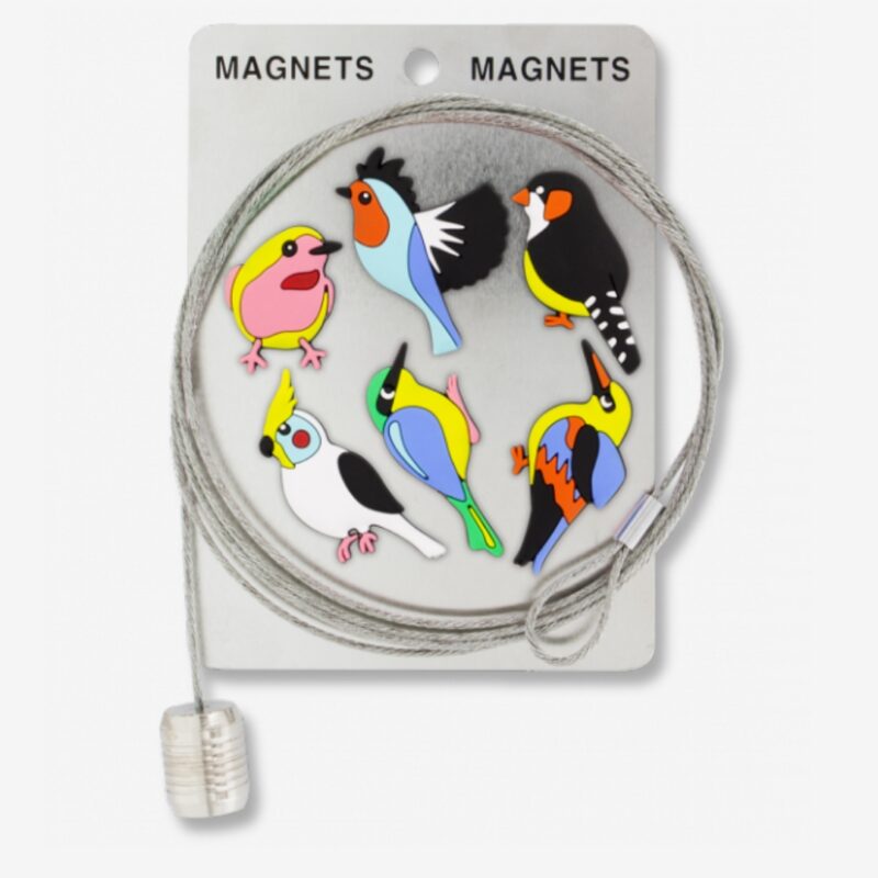 Photo Magnetic Cable+6magnets Bird