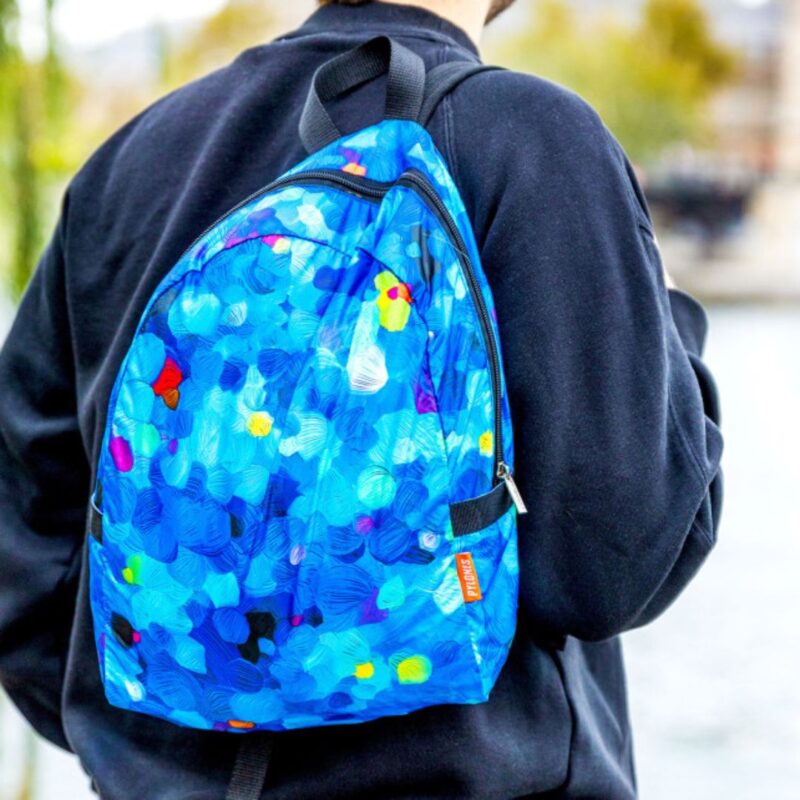 Foldable Backpack (2)