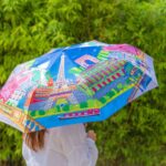 Folding Umbrella (18)