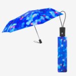 Folding Umbrella (4)