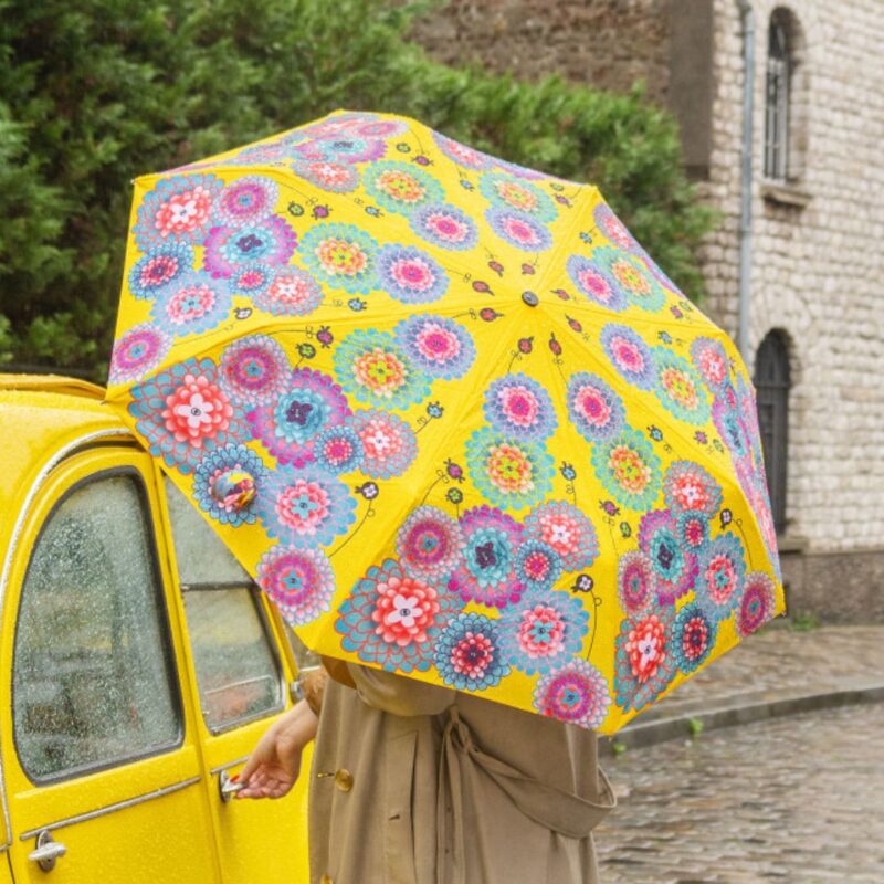 Folding Umbrella (9)
