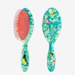 Hairbrush Ladypop L Birds