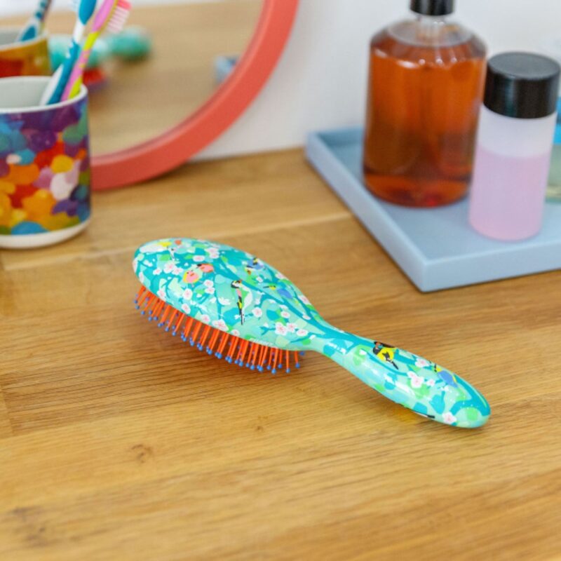Hairbrush Ladypop L Birds (2)