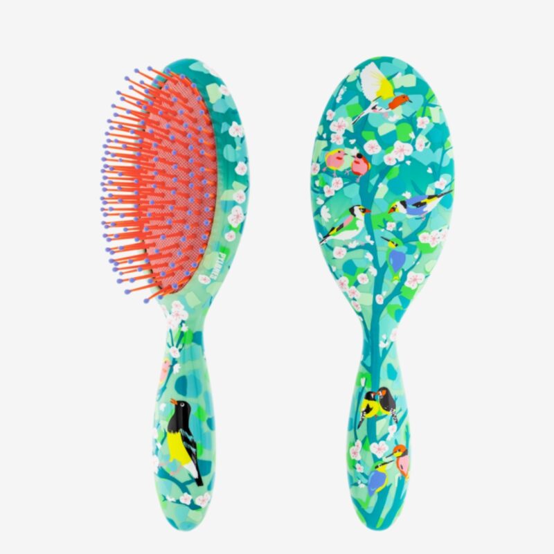 Hairbrush Ladypop L Birds