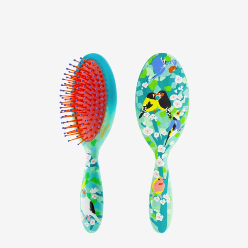 Small Hairbrush Ladypop Birds