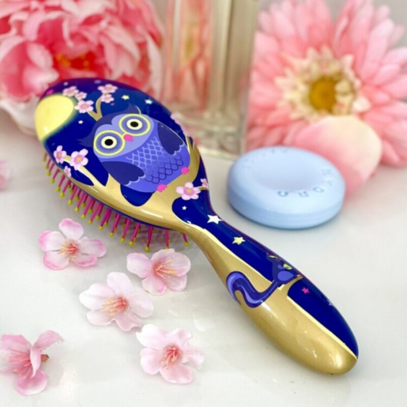 Small Hairbrush Ladypop Blue Owl (2)