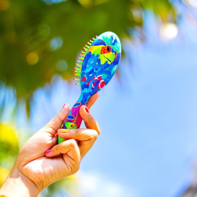 Small Hairbrush Ladypop Fluocéan (2)