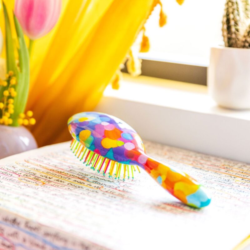 Small Hairbrush Ladypop Palette (2)