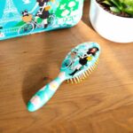 Small Hairbrush Ladypop Parisienne (2)