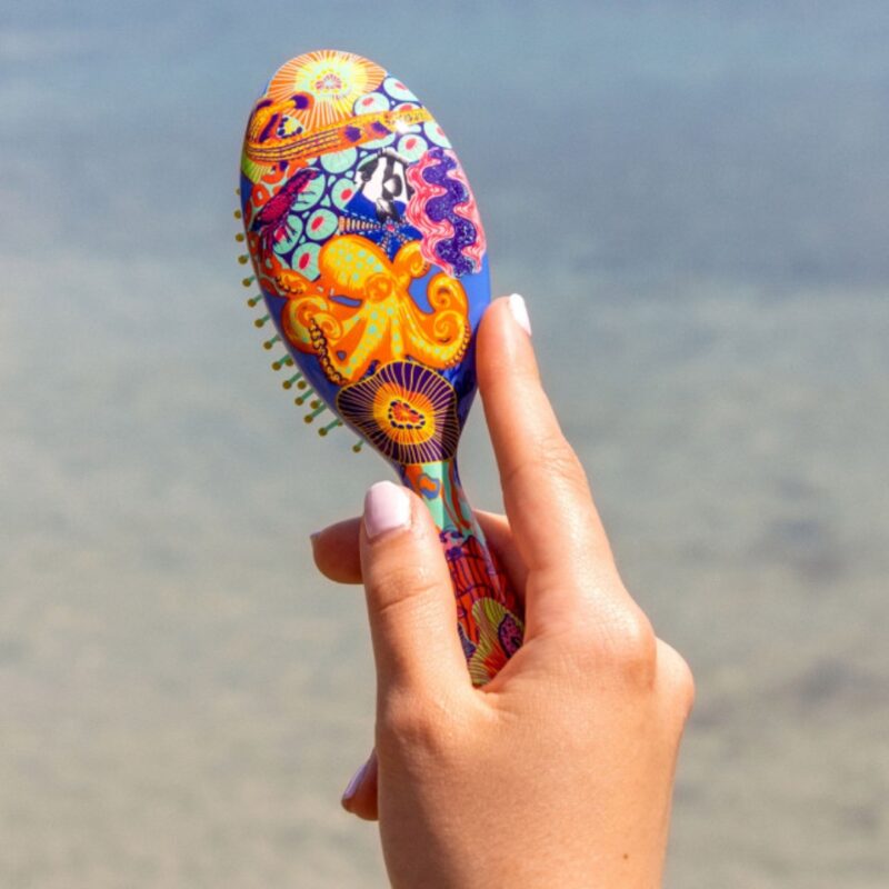 Small Hairbrush Ladypop Récif (3)