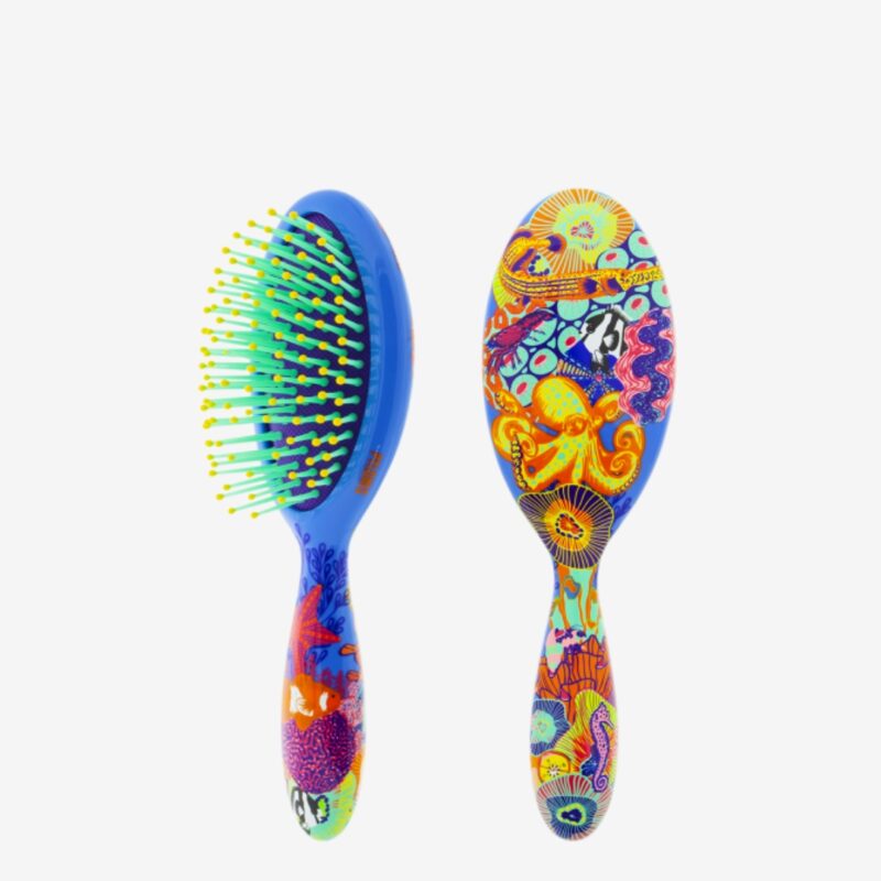 Small Hairbrush Ladypop Récif