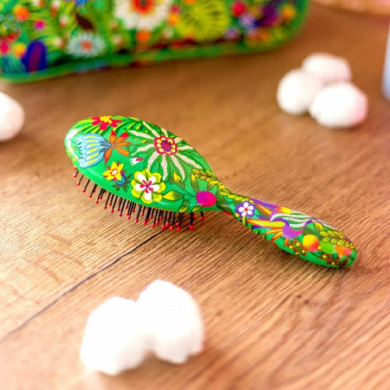 Small Hairbrush Ladypop Spring Dream (2)