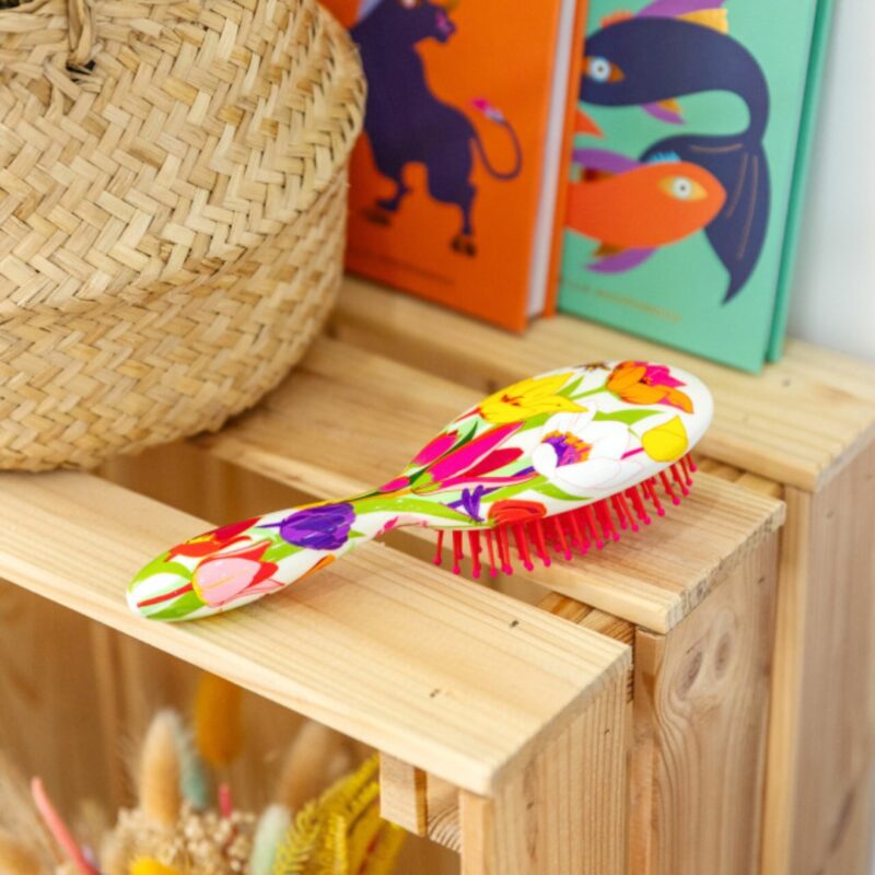 Small Hairbrush Ladypop Tulipes (2)