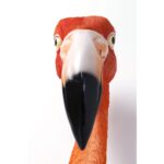 Wall object flamingo road 72cm (6)