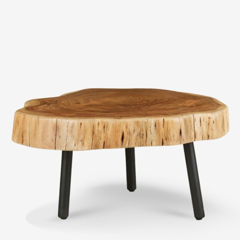 Coffee table raw natural Ø80cm (4)