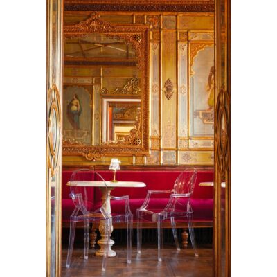 Chair garde transparent (6)