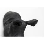 Wall object rhino head antique black 22x43cm (9)