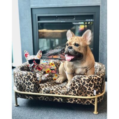Deco figurine comic dog glasses 25cm (2)