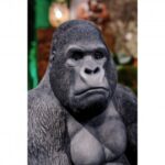 Deco figurine monkey gorilla side xl black 76cm (14)