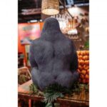 Deco figurine monkey gorilla side xl black 76cm (17)