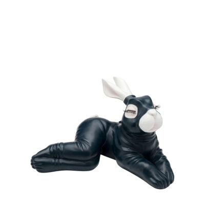 Money box fetish bunny sitting night blue