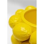 Vazo limon suyu 19cm (11)