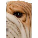 Wall light animal dog head 25cm (7)