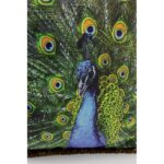 Yastık Tavuskuşu 45x45cm (9)