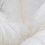 Floor Lamp Feather Palm White 165cm (11)