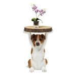 Side Table Animal Mr. Jack Ø33cm (8)