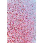 Слика на платно Цветен чамец Сино-розова 30x40 см (4)