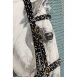 Cushion Show Horse Head 45x45cm (3)