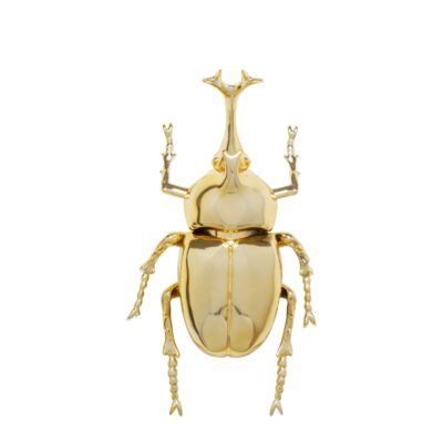 Wall Decoration Stag Beetle Gold 41cm