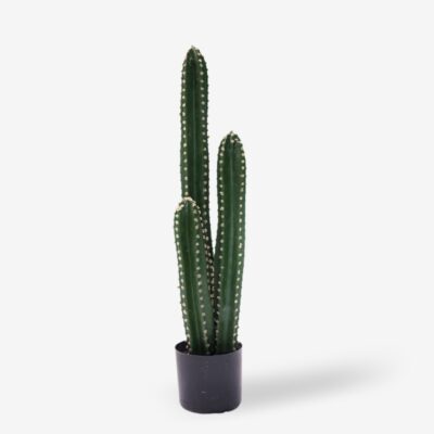 Decorative Cactus III Green 85cm