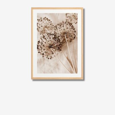 Framed Print Niluf 48x33cm