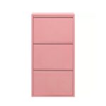 Shoe Container Caruso 3 Rose (MO)